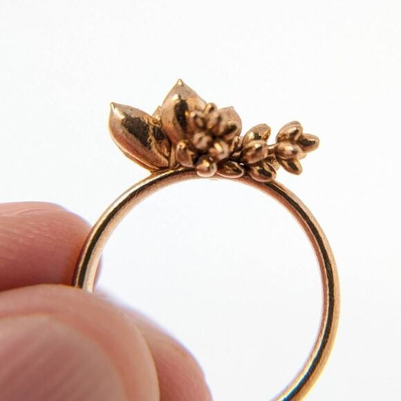 Botanical Cluster Ring in Natural Bronze size 7 by Collected Edition - Picture 6 of 15